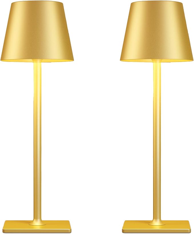15 Best Rechargeable Table Lamps for 2026 5 51YFnxcwNkL._AC_SX679_PIbundle-2,TOpRight,0,0_SH20_
