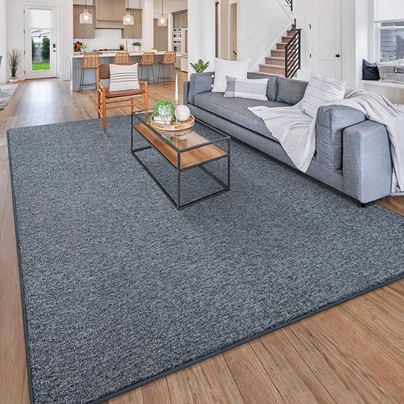 chicrug modern rug 3x5
