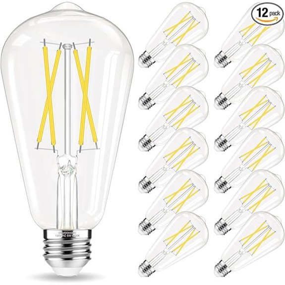 edison led bulbs 12 pack