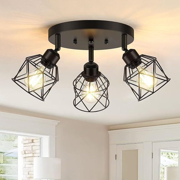 farmhouse black metal cage light
