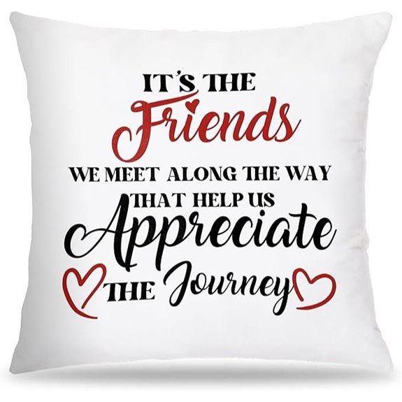friendship gifts decorative pillow covers